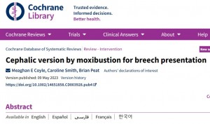 スクリーンショット 2023-08-19 115500