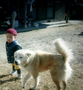 aki220110923185356_083