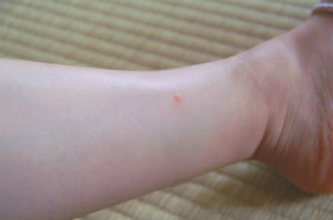 o0500033212095857273